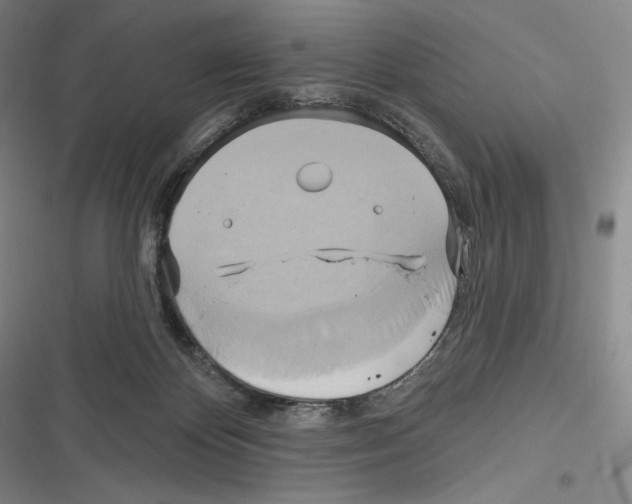 X0000116650124201001111237