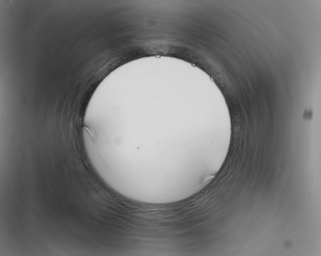 X0000116650125201001111237