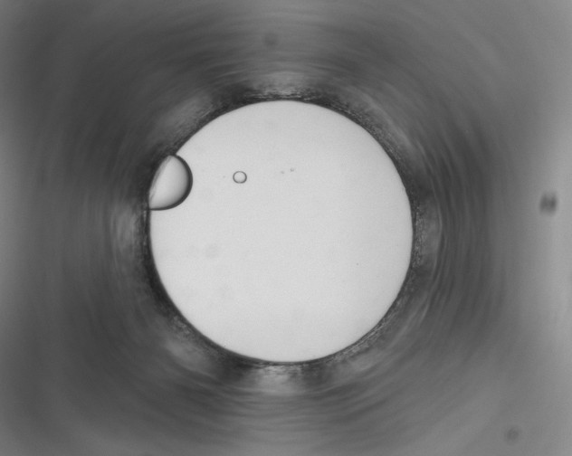 X0000116650126201001111237