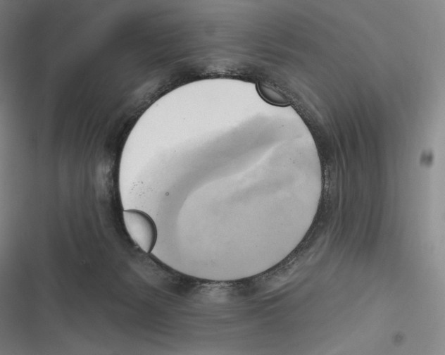 X0000116650127201001111237