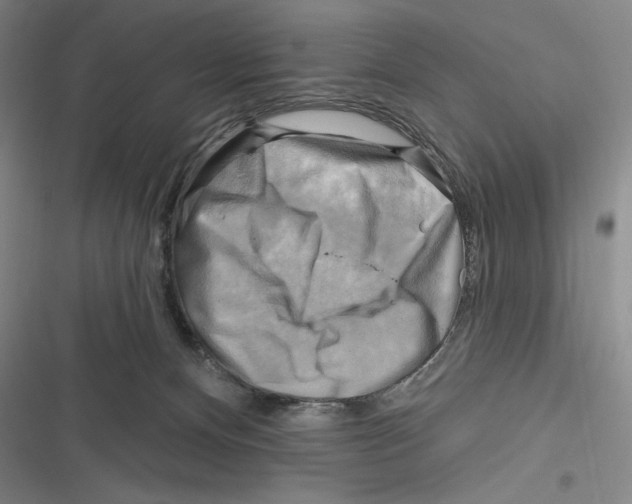 X0000116650128201001111237