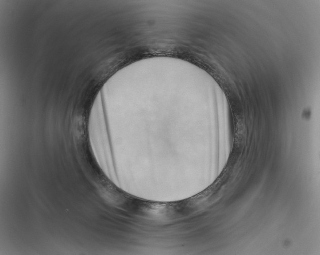 X0000116650130201001111237