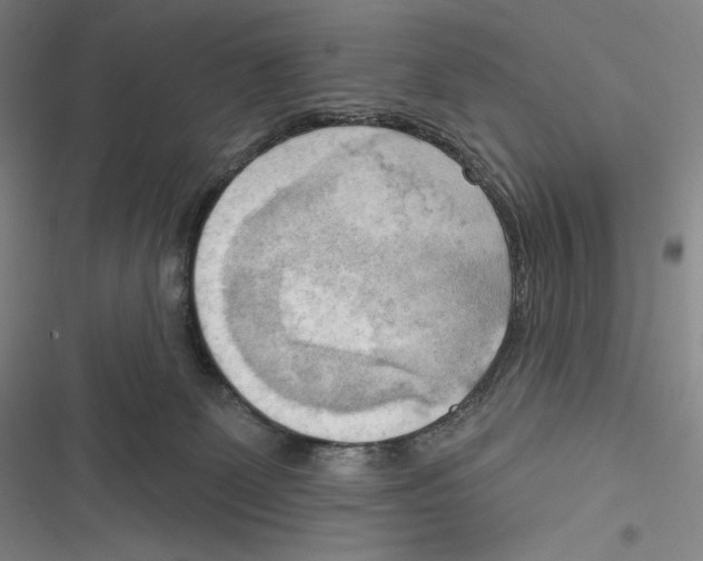 X0000116650131201001111237