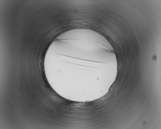 X0000116650132201001111237