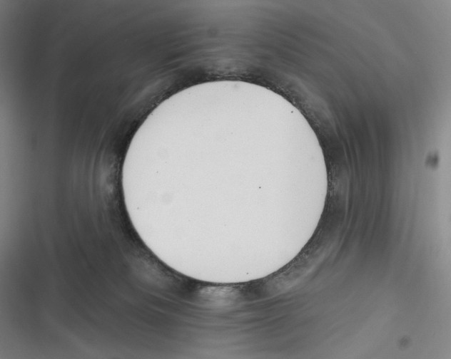 X0000116650133201001111237