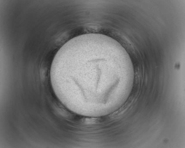 X0000116650134201001111237
