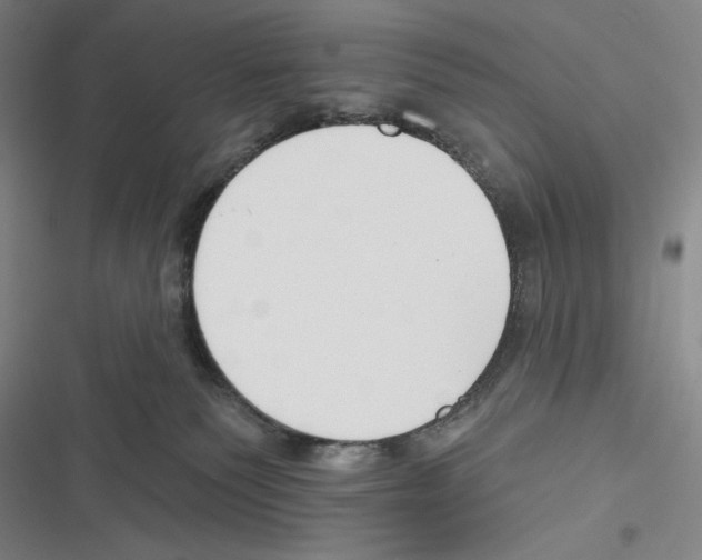 X0000116650135201001111237