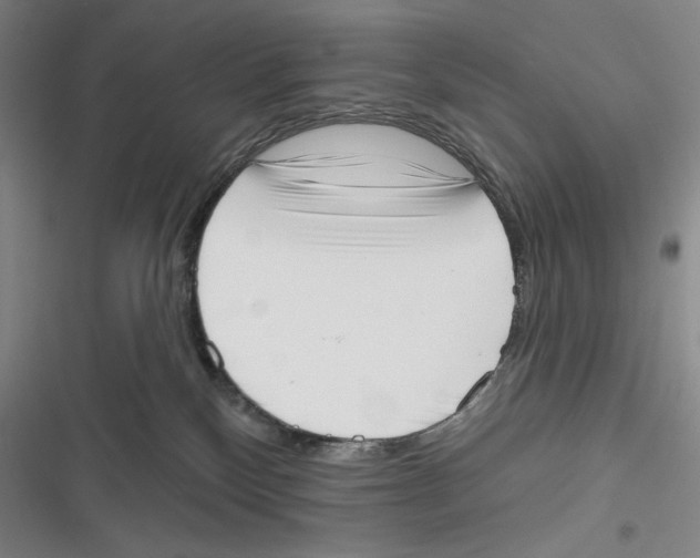 X0000116650136201001111237