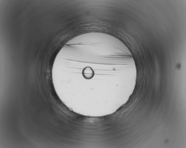 X0000116650137201001111237