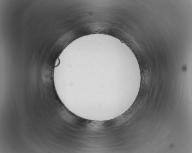X0000116650138201001111237