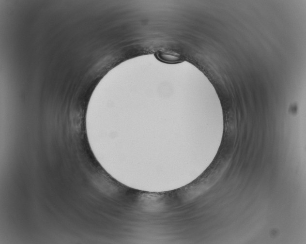 X0000116650139201001111237