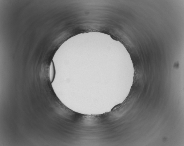 X0000116650141201001111237