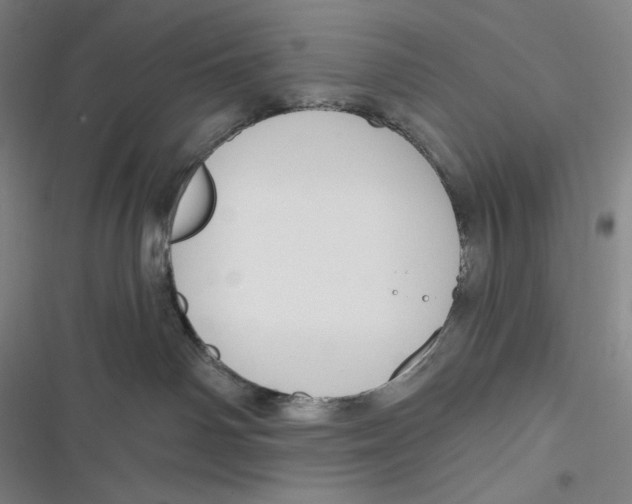 X0000116650142201001111237