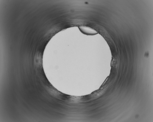 X0000116650143201001111237