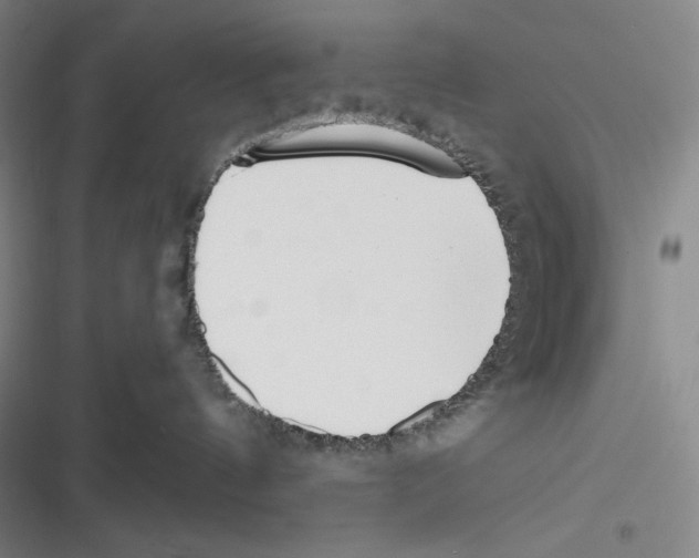 X0000116650144201001111237