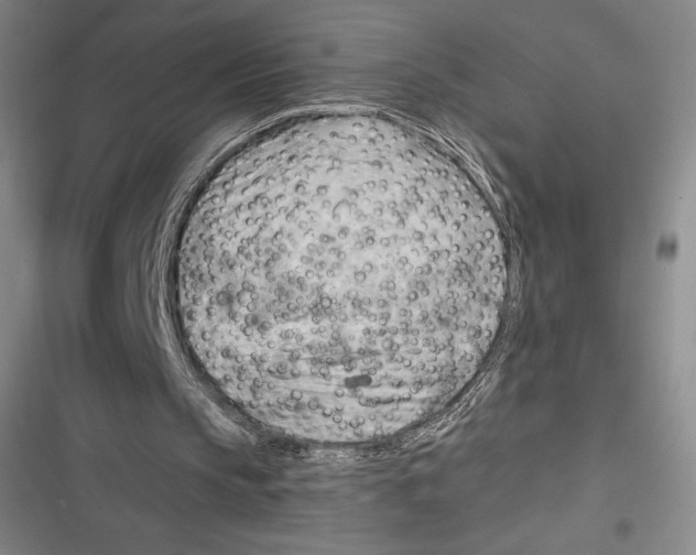 X0000116650145201001111236