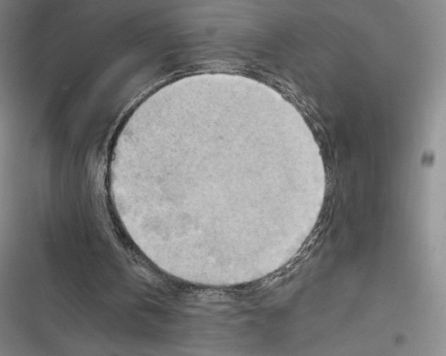 X0000116650146201001111236