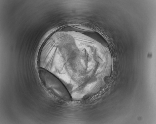 X0000116650147201001111236