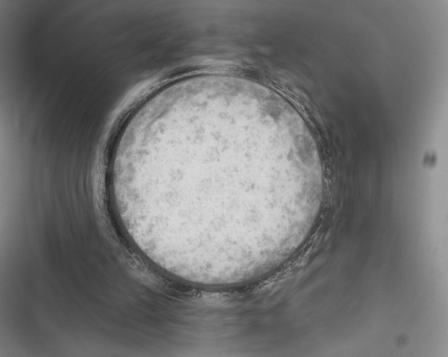 X0000116650149201001111236