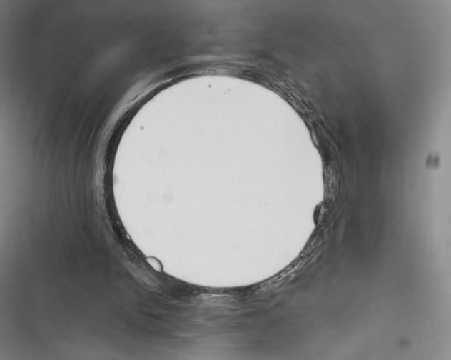 X0000116650150201001111236