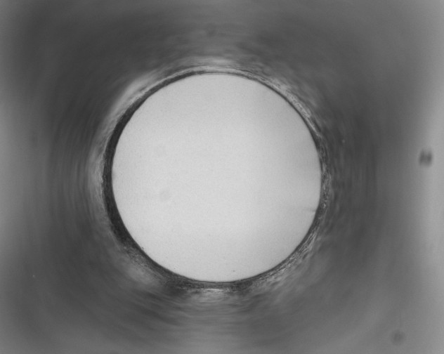 X0000116650151201001111236
