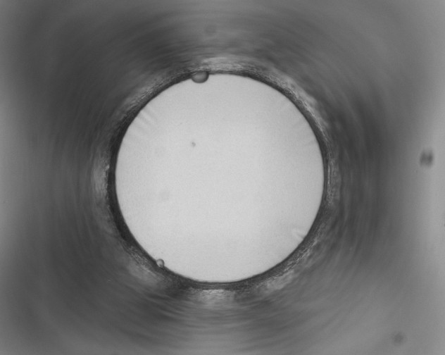X0000116650153201001111236