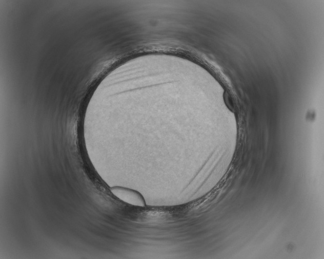 X0000116650154201001111236