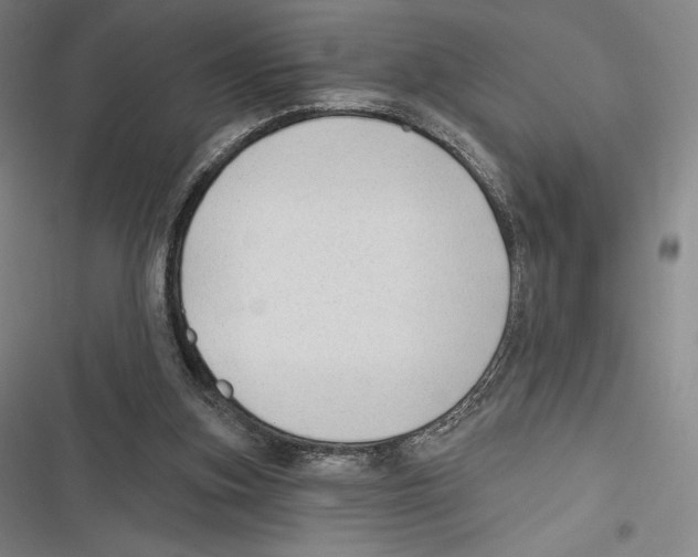 X0000116650155201001111236