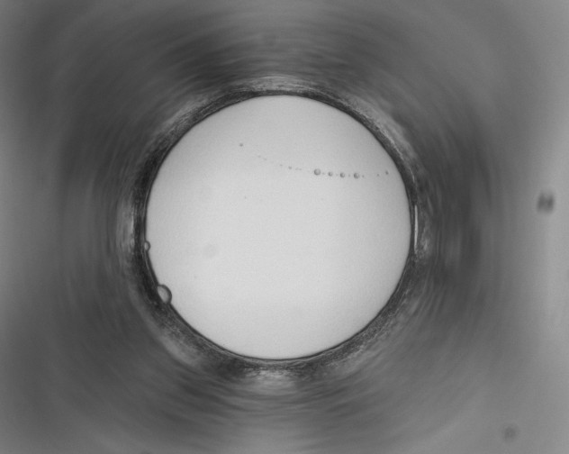 X0000116650157201001111236