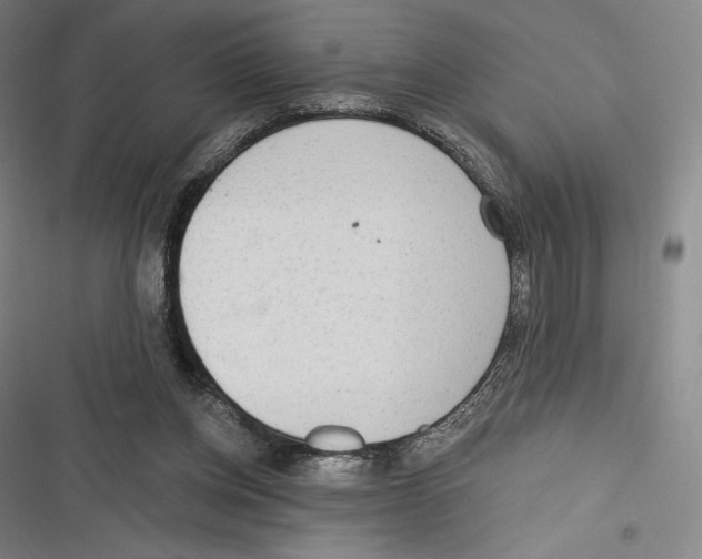 X0000116650158201001111236