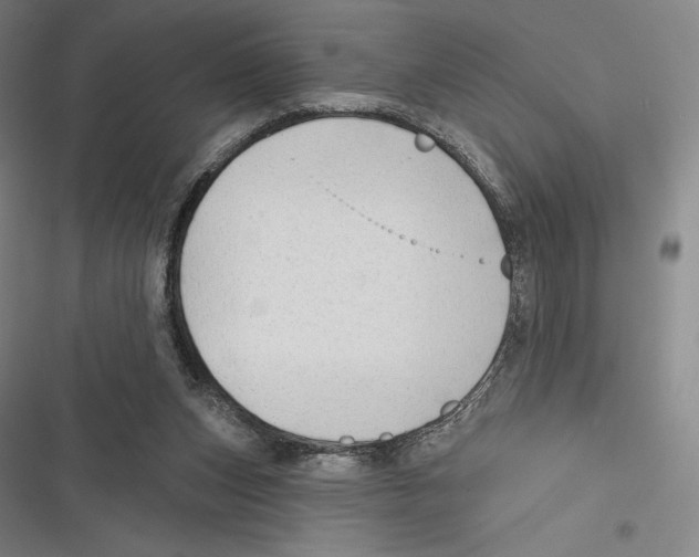 X0000116650159201001111236