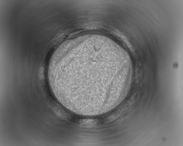X0000116650161201001111236