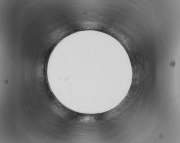 X0000116650162201001111236