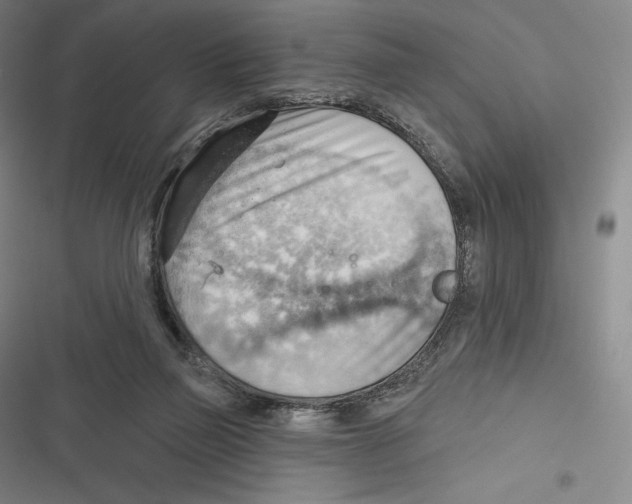 X0000116650165201001111236