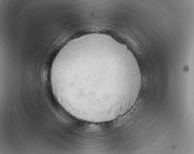 X0000116650166201001111236