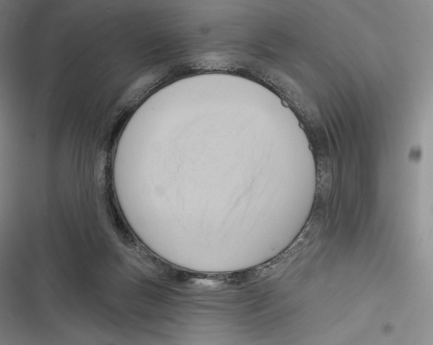 X0000116650167201001111236