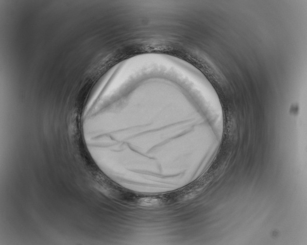 X0000116650169201001111236