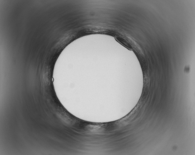 X0000116650170201001111236