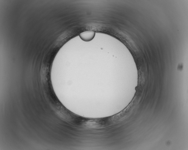 X0000116650171201001111236