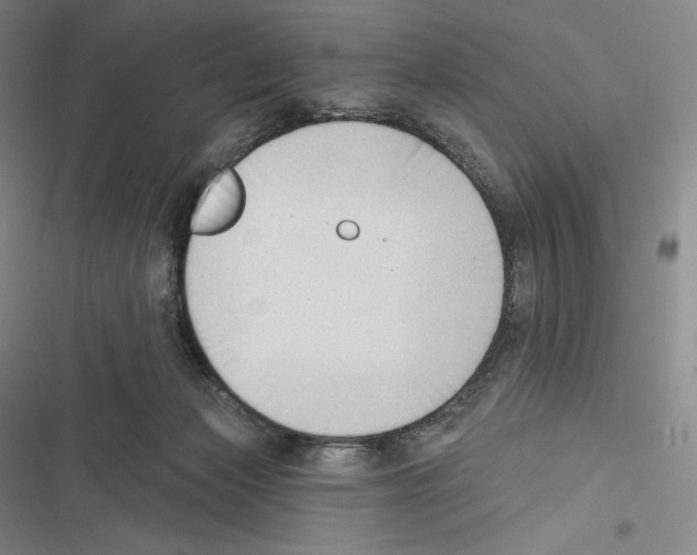 X0000116650173201001111236