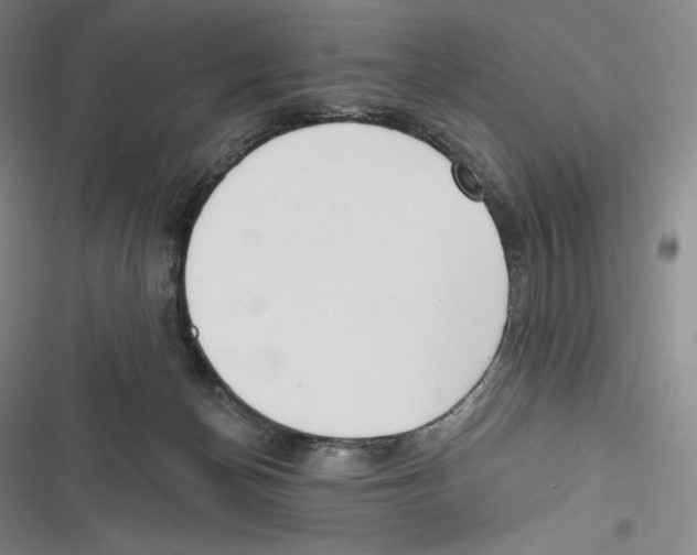 X0000116650174201001111236