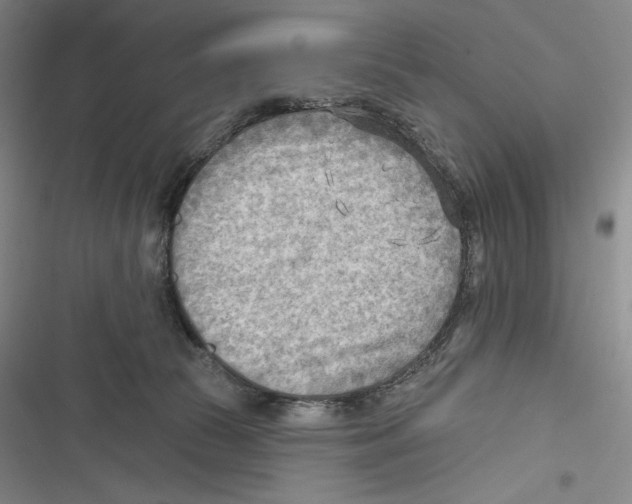 X0000116650177201001111236