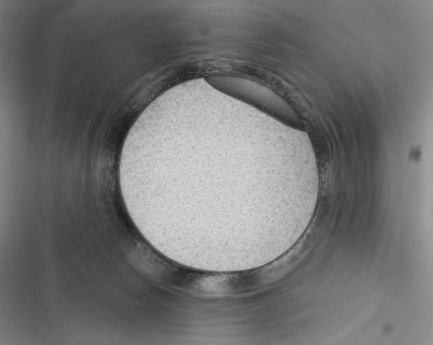 X0000116650178201001111236