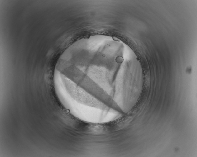 X0000116650181201001111236