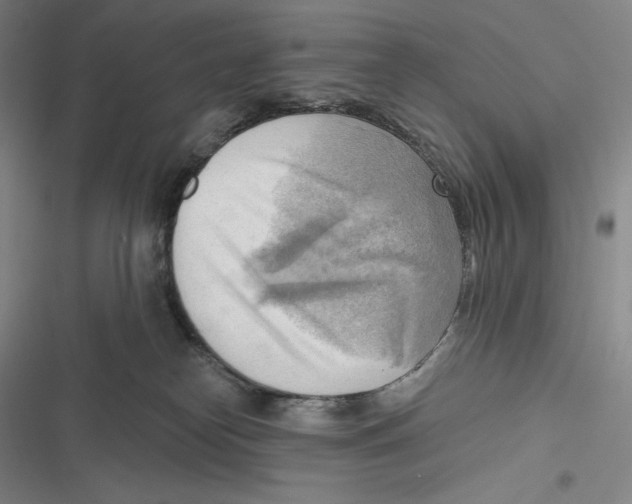 X0000116650182201001111237