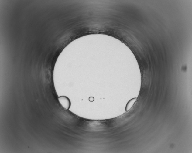 X0000116650183201001111237