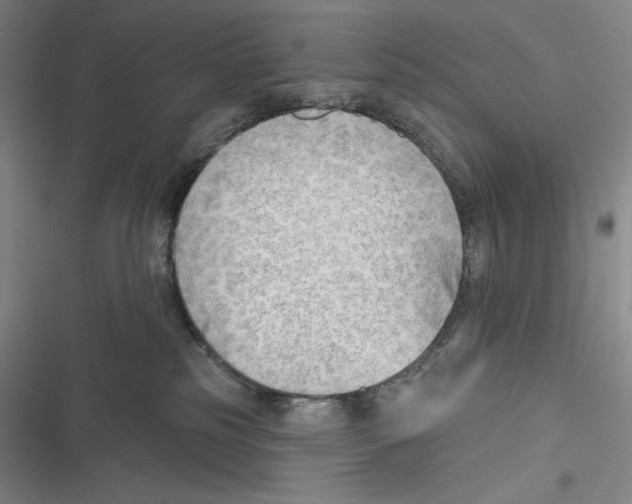 X0000116650185201001111237