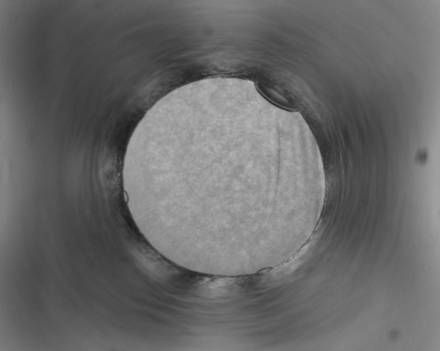 X0000116650186201001111237