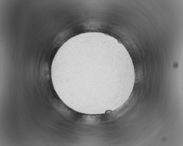 X0000116650187201001111237