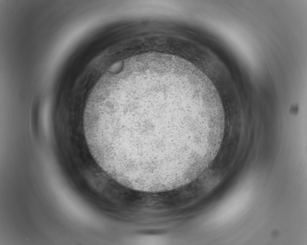 X0000116650189201001111237